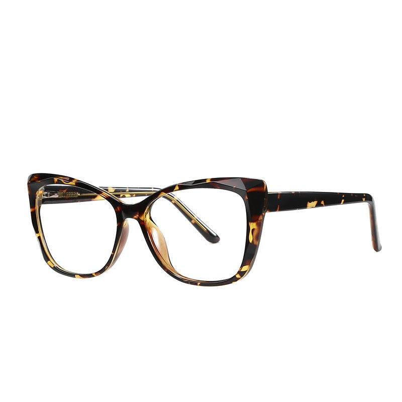 TR90 Tortoiseshell Glasses